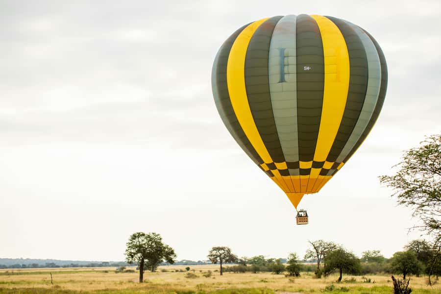 3-Day Safari to Serengeti & Ngorongoro + Balloon experience - Key points at a glance