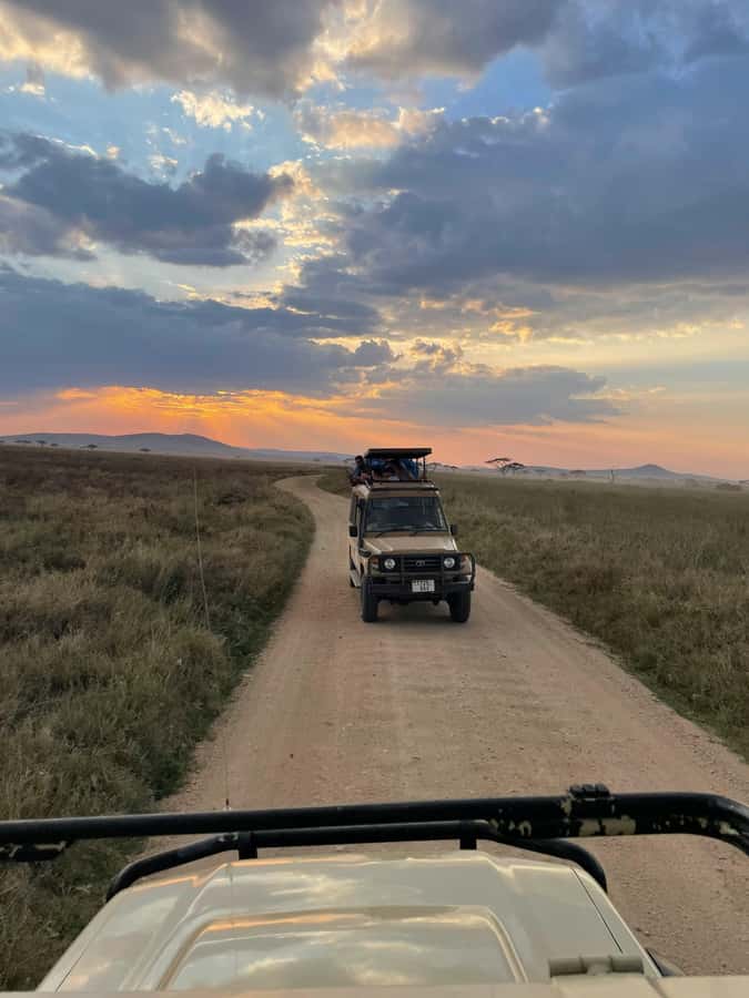3-Day Safari to Serengeti & Ngorongoro + Balloon experience - Day 2: Ballooning over the Serengeti at sunrise