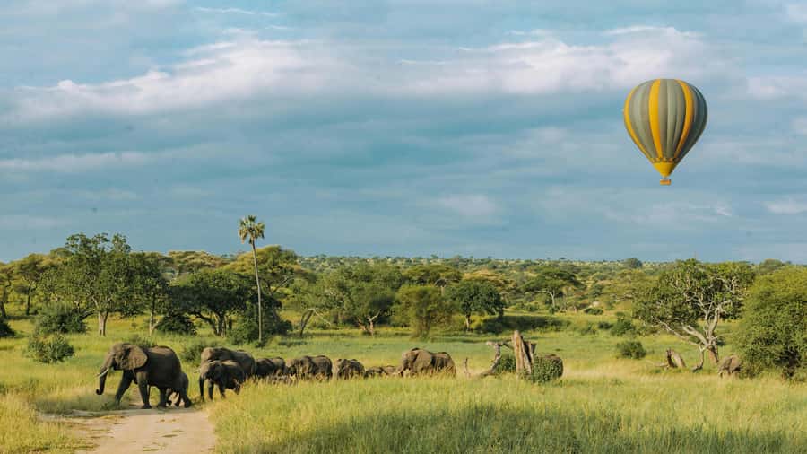 3-Day Safari to Serengeti & Ngorongoro + Balloon experience - Packing for cold mornings and strict luggage limits