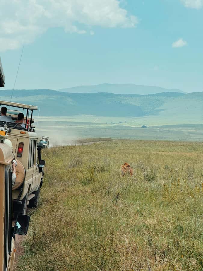 3-Day Safari to Serengeti & Ngorongoro + Balloon experience - Day 1: Arusha to the Serengeti plains