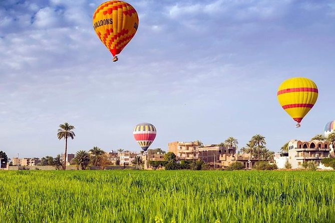 3 Nights Cruise Aswan to Luxor including Abu Simbel, Nubian Village&Air Balloon - The guide can shape the whole trip