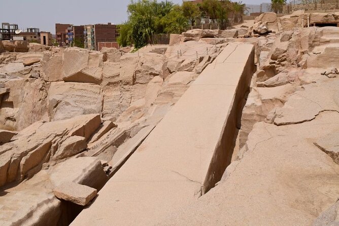 3 nights Nile Cruise with Hot air Balloon From Aswan - Day 3: Edfu by horse carriage and a quieter afternoon