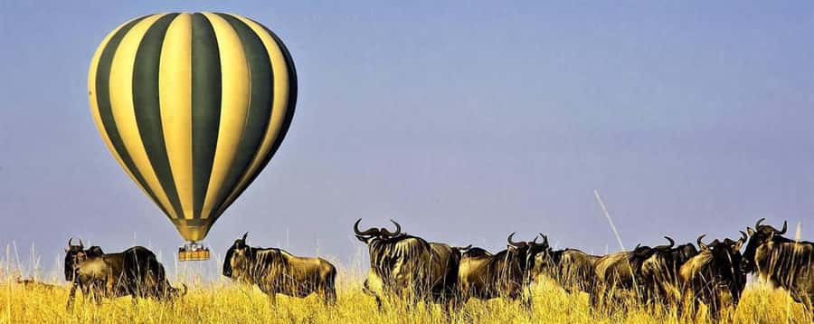 3Days Masai Mara Safari with Hot Air Balloon Ride Experience - Key points to know before booking
