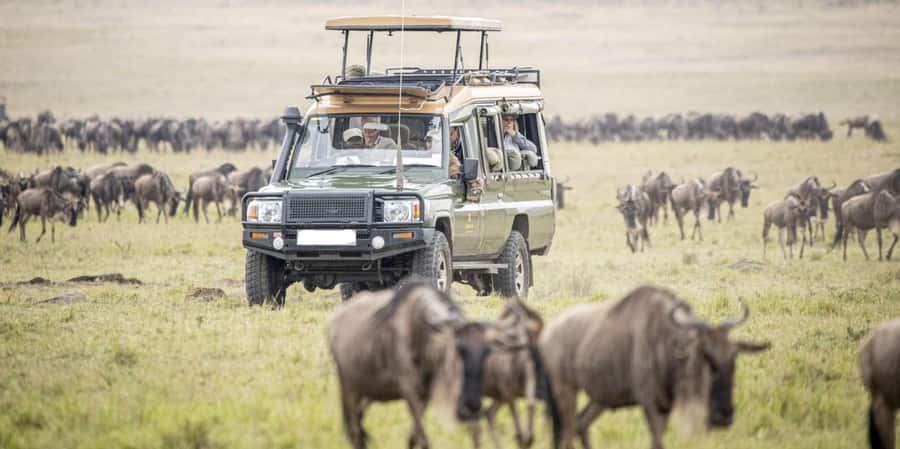 3Days Masai Mara Safari with Hot Air Balloon Ride Experience - What the $1,925 price includes