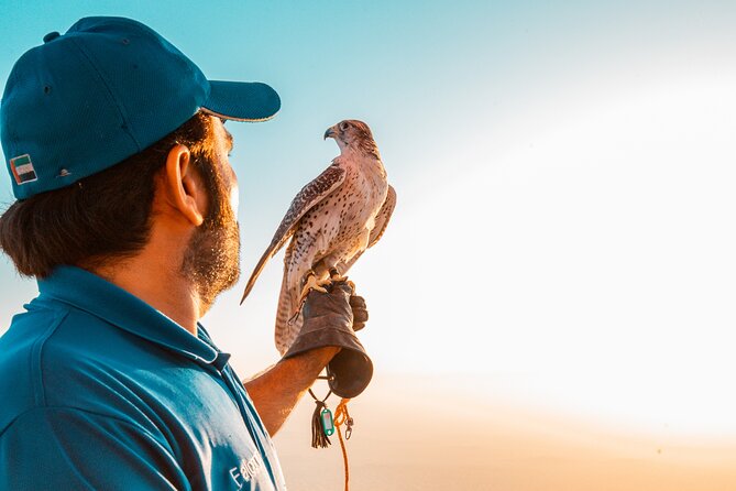 5-Hour Private Guided Tour with 1-Hour Hot Air Balloon Ride - What the one-hour flight is really like