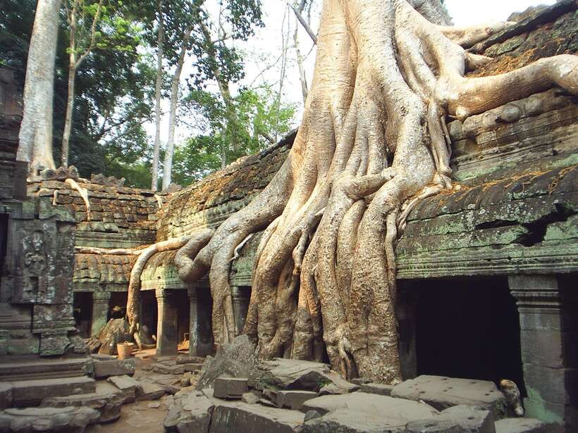 Angkor Wat: Small-Group Tour with Balloon Ride and Lunch - Angkor Wat, where stone tells the story