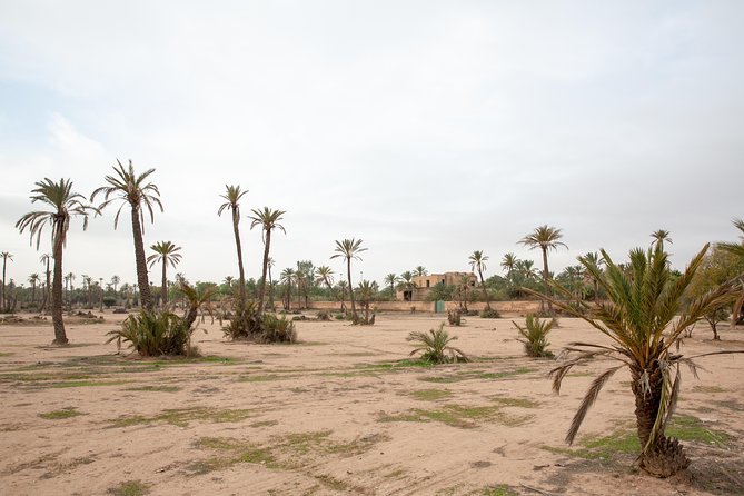 Atlas Mountains Hot Air Balloon Ride from Marrakech with Berber Breakfast and Desert Camel Experience - Berber breakfast after landing