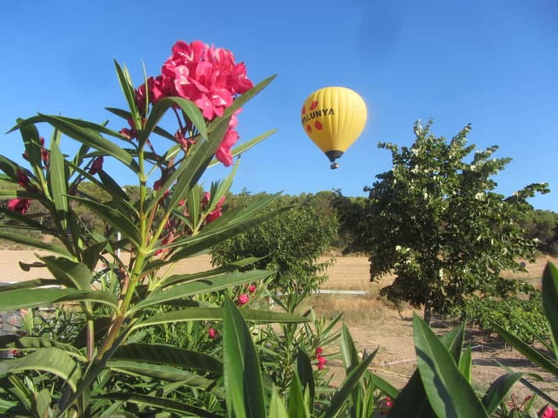 Balloon flight: panoramic view of Montserrat and Transport from Barcelona - Why Montserrat makes a better balloon destination than a city flight