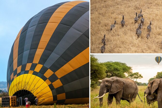 Balloon Safari & Bush Breakfast in Tarangire - Miracle Experience - The key details at a glance