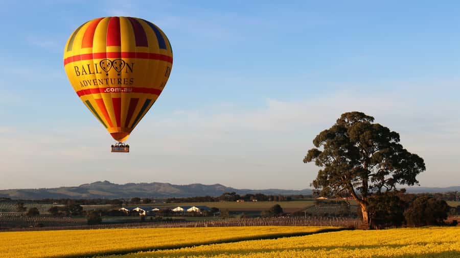 Barossa Valley: Hot Air Balloon Flight - Watching the balloon come alive