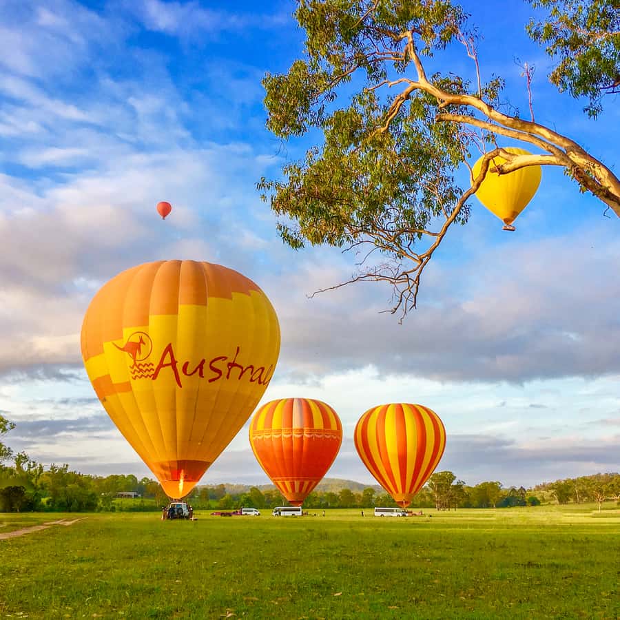 Brisbane: Hot Air Balloon Flight with Vineyard Breakfast - Who should book this morning?
