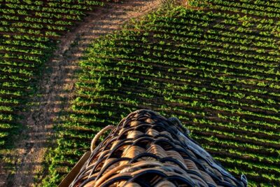Burgundy Hot-Air Balloon Ride from Beaune