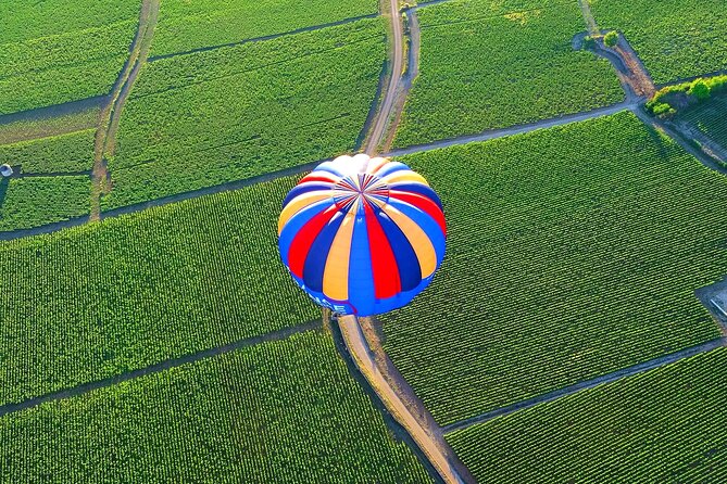 Burgundy Hot-Air Balloon Ride from Beaune - Sunrise above the vineyards