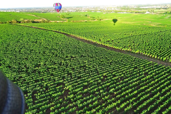 Burgundy Hot-Air Balloon Ride from Beaune - Is $315.74 a fair price?