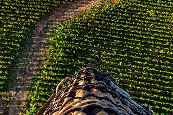 Burgundy Hot-Air Balloon Ride from Beaune - Meeting at Château de Pommard