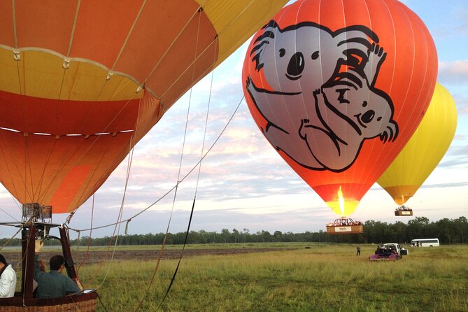 Cairns Classic Hot Air Balloon + Lemoncello - Why this sunrise flight is special