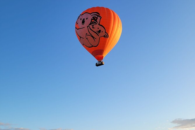 Cairns Hot Air Balloon Flight + Bad Fishy Jet Boating Cairns - The small celebration after landing