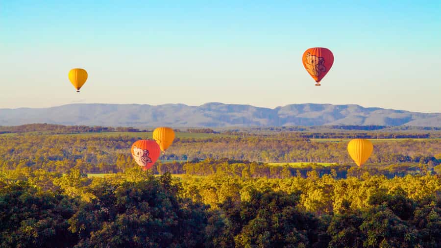 Cairns: Hot Air Balloon Flight with Transfers - Who should book this Cairns balloon ride?