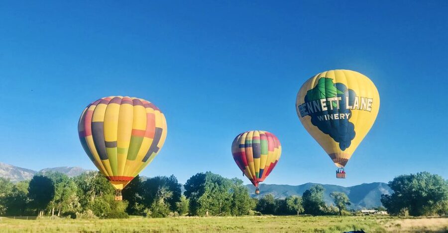 Carson City: Hot Air Balloon Flight - The flight: quiet views and wildlife below