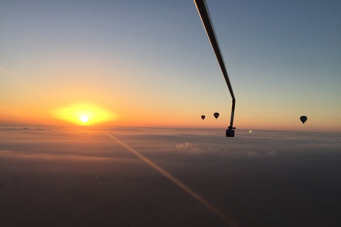Deluxe Hot Air Balloon Ride with Breakfast & Flight Falcon Show - The falcon show, with a desert tradition attached