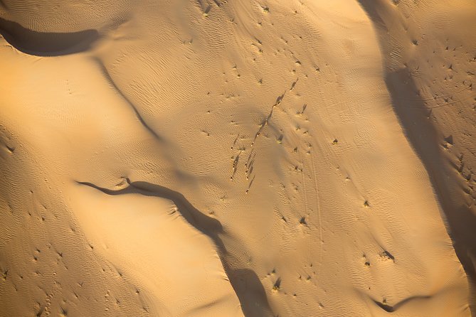 Deluxe Hot Air Balloon Ride with Breakfast & Flight Falcon Show - Breakfast at the Bedouin-style camp