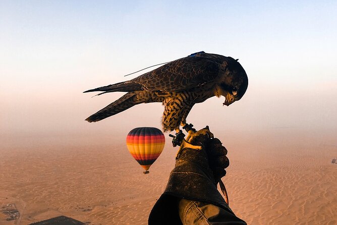 Dubai Desert By Hot Air Balloon With Falcon Show and Camel - Why the sunrise flight is the main event