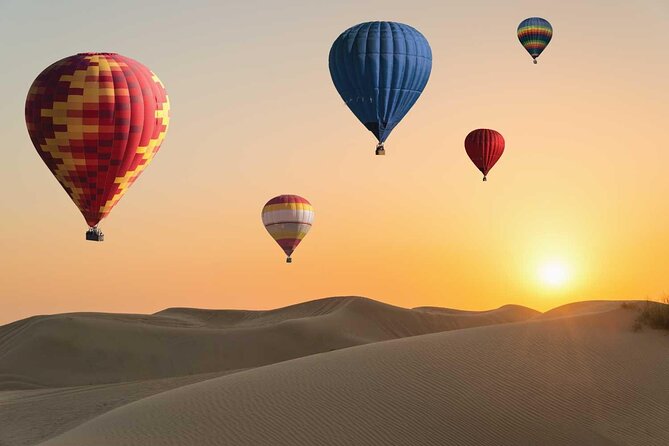 Dubai Desert By Hot Air Balloon With Falcon Show and Camel - Watching the falcon show above the desert