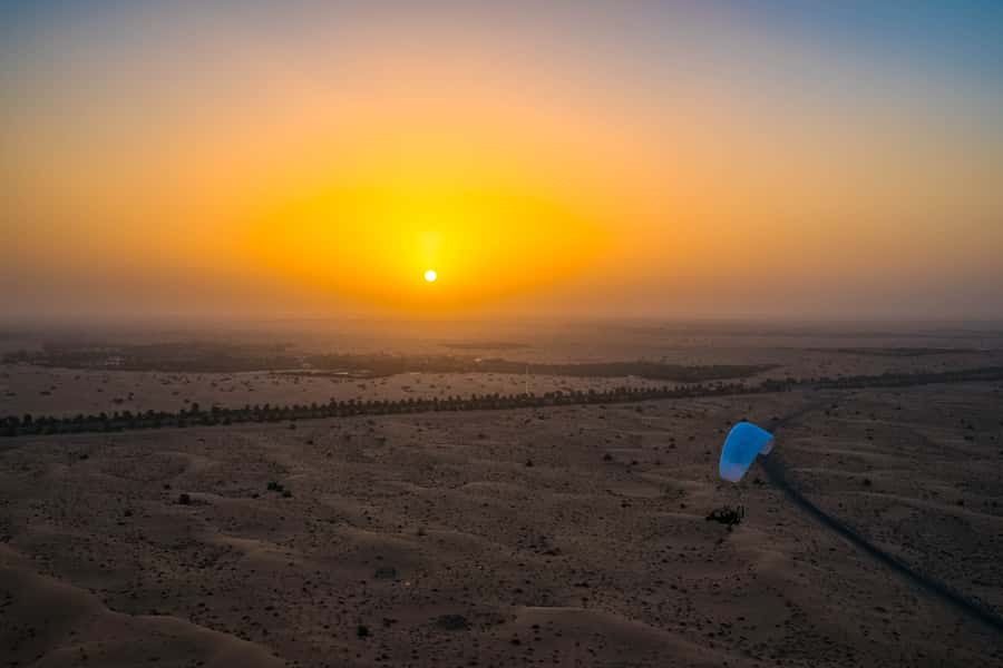 Dubai: Hot Air Balloon, Camel Ride, Desert Safari & More - Falcon photos and the traditional touches