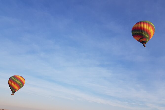 Dubai Hot Air Balloon Ride with Breakfast, Falconry & Camel Ride - Who will enjoy this morning most?