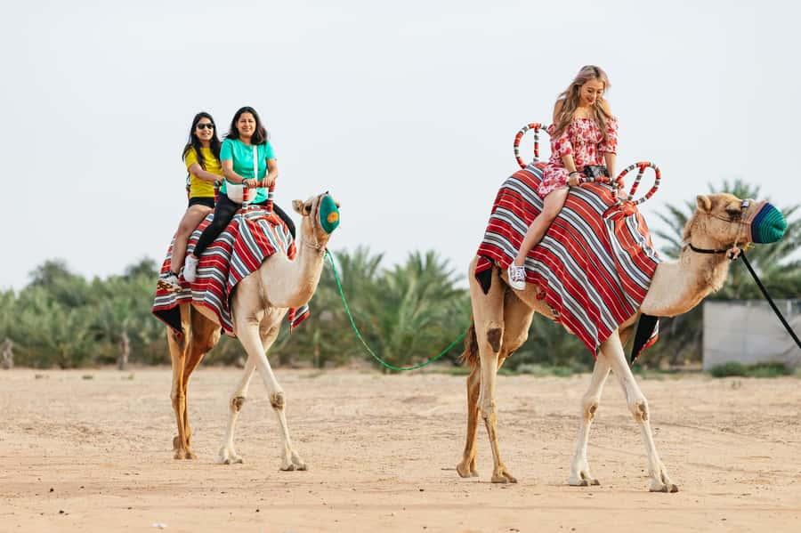 Dubai: Sunrise Balloon Flight with Camel Ride & Breakfast - A quiet sunrise above the Dubai desert
