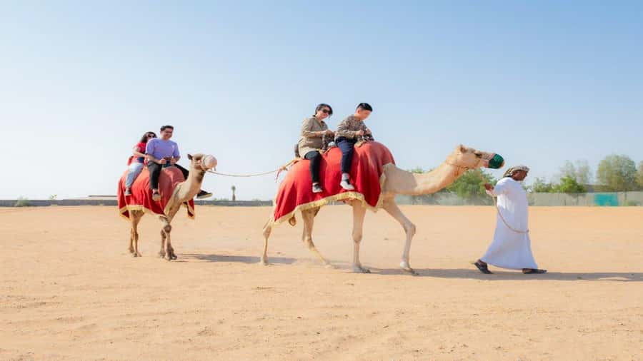 Dubai: Sunrise Hot Air Balloon Flight, Breakfast, Camel Ride - Health, clothing, and practical limits