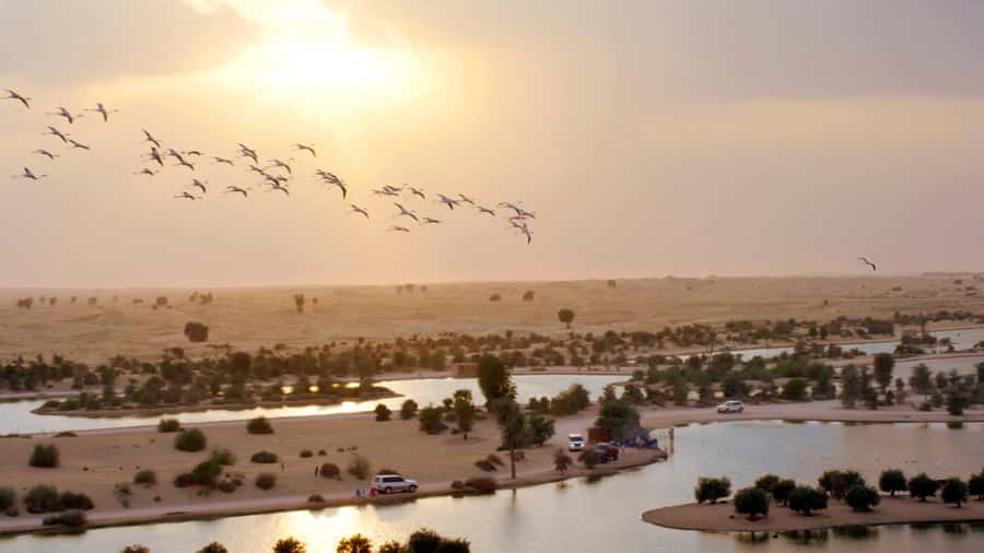 Dubai: Sunrise Hot Air Balloon Tour with E-Certificate - Clothing, luggage, and physical limits