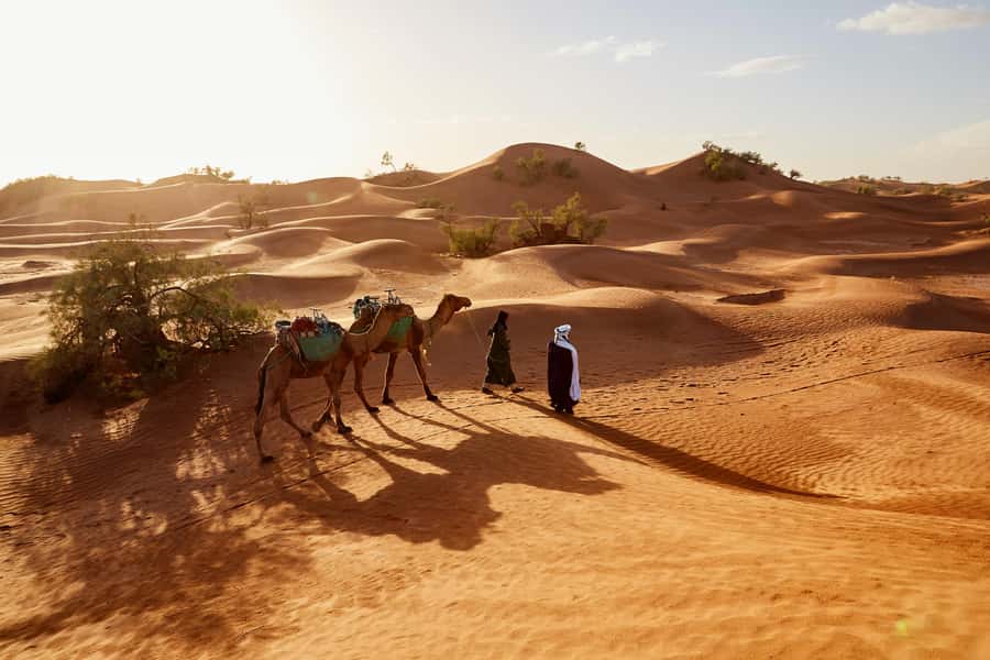 Dubai: Sunrise Hot Air Balloon Tour with E-Certificate - Coffee, tea, and the balloon inflation