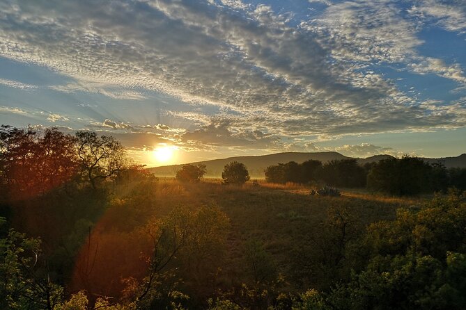 Early Morning Balloon Safari with Breakfast from Magaliesburg - The certificate and the sense of occasion