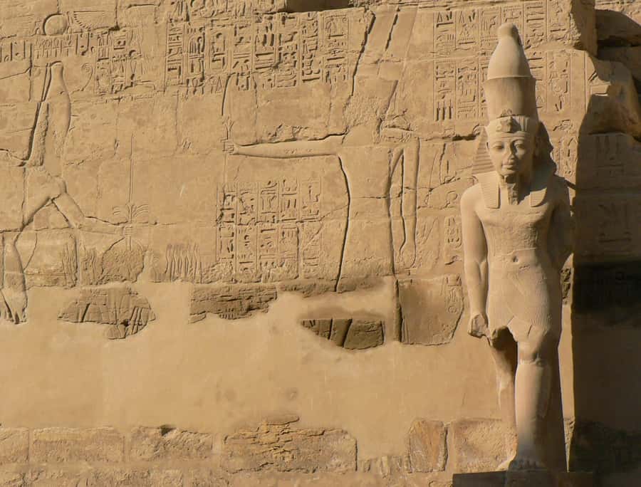 From Cairo: 5-Day Tour with Nile Cruise, Balloon, & Flights - What the $1,119 price really covers