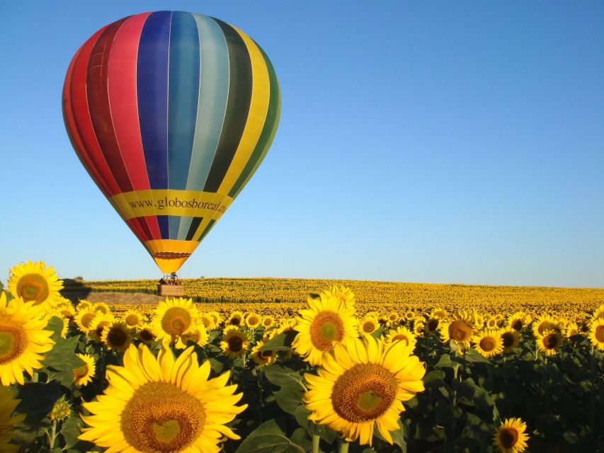 From Madrid: Hot Air Balloon Ride in Segovia with Pickup - Landing, champagne, and breakfast