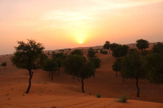 Hot Air Balloon Adventure Ride in Dubai with Hotel Pick up & drop - Why sunrise is the right time for this balloon ride
