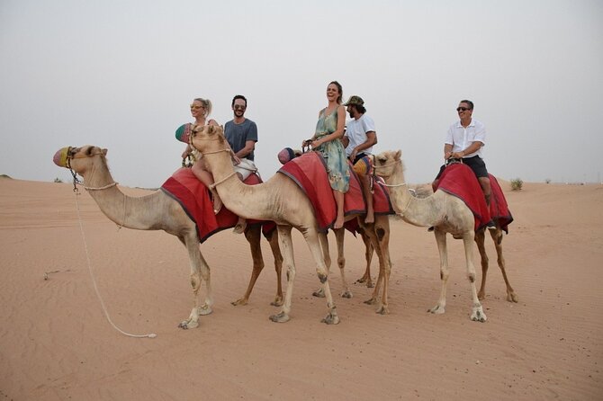 Hot Air Balloon Adventure Ride in Dubai with Hotel Pick up & drop - Wildlife, oases, and the desert below