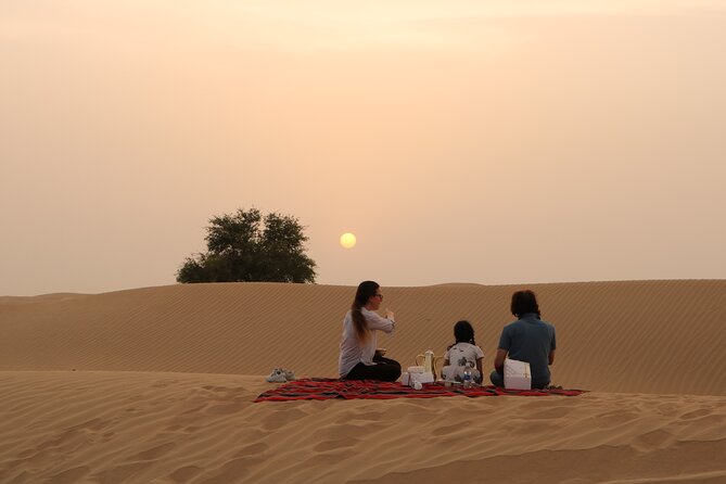 Hot Air Balloon Adventure Ride in Dubai with Hotel Pick up & drop - The pre-flight briefing and launch