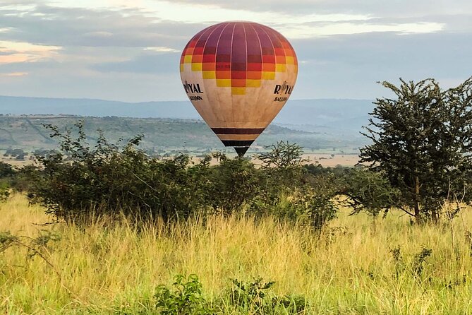 Hot Air Balloon Flight at Akagera National Park - Key points at a glance