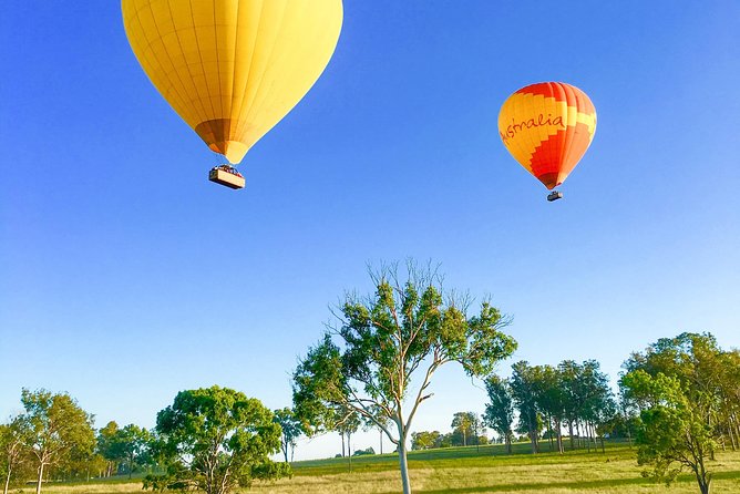 Hot Air Balloon Flight Brisbane with Vineyard Breakfast - O’Reilly’s Canungra Valley Vineyards for breakfast