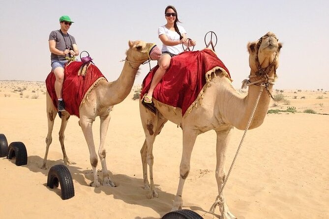 Hot Air Balloon Flight in Dubai with Breakfast, Falconry and Camel Ride - Is $230 a fair price?