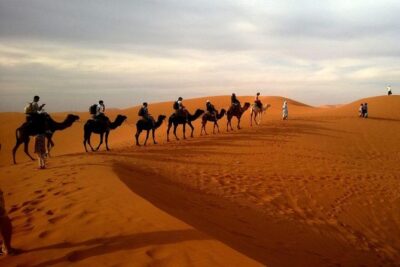 Hot Air Balloon Premium ,Camel Horse Ride,Dune Bashing ,Quad Bike