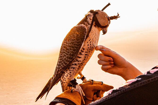 Hot Air Balloon Ride & In-flight Falcon Show including Transfers - The falcon show at altitude