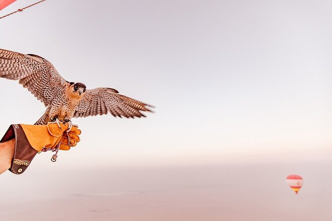 Hot Air Balloon Ride & In-flight Falcon Show including Transfers - A landing that becomes part of the fun