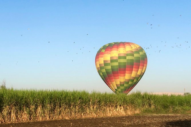 Hot Air Balloon Ride in Luxor Egypt with Transfers Included - Who Will Enjoy This Flight Most