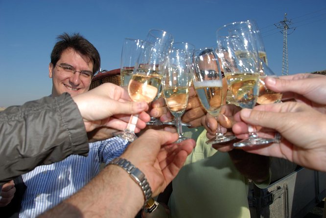 Hot-Air Balloon Ride over Toledo with Optional Transport from Madrid - Weather, delays, and alternate arrangements