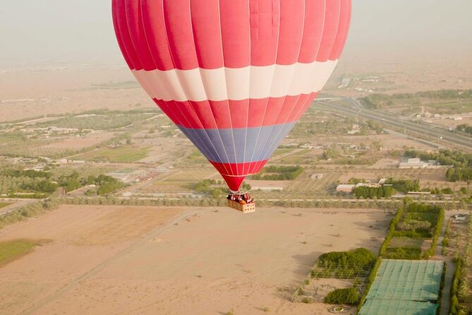 Hot Air Balloon Ride With Gourmet Breakfast and Falcon Show - A falcon show and a short camel ride