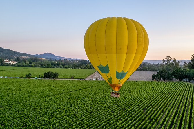 Hot Air Balloon Rides in Napa Valley - The Flight: Forty-Five Minutes Above Wine Country