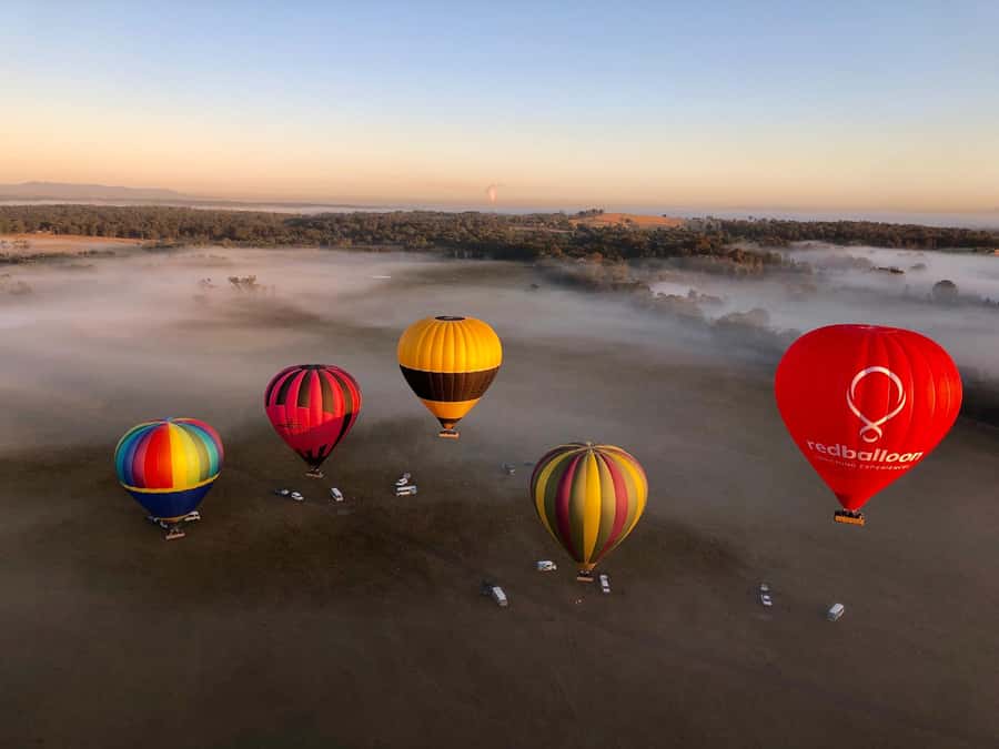Hunter Valley: Sunrise Balloon Ride with Bubbly Breakfast - Key points to know before booking